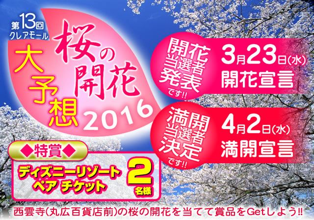 第13回クレアモール　桜の開花大予想！！2016