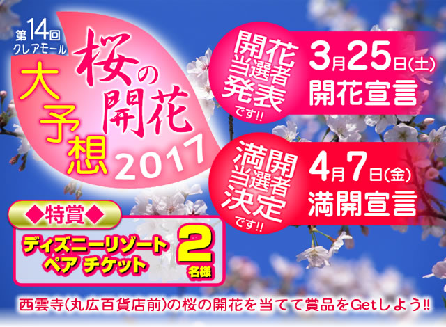 第14回クレアモール　桜の開花大予想！！2017