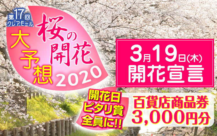 第17回クレアモール　桜の開花大予想！！2020
